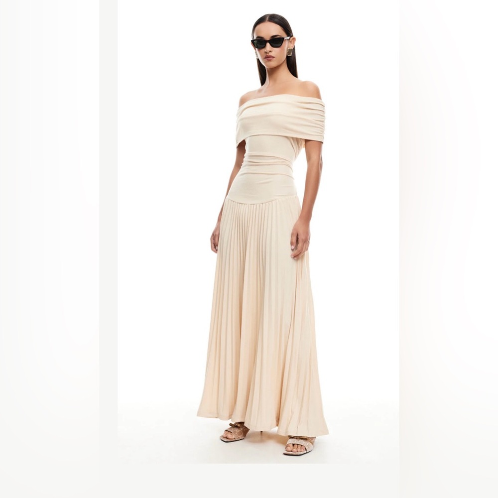 Lioness Field of Dreams Maxi Dress NWT Size small
